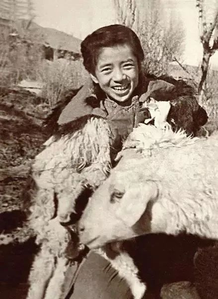 敦煌艺术